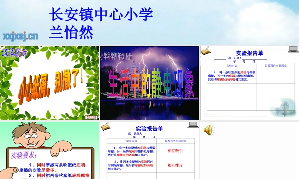 小学科学教科版《生活中的静电现象》