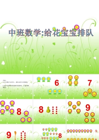 数学给花宝宝排队