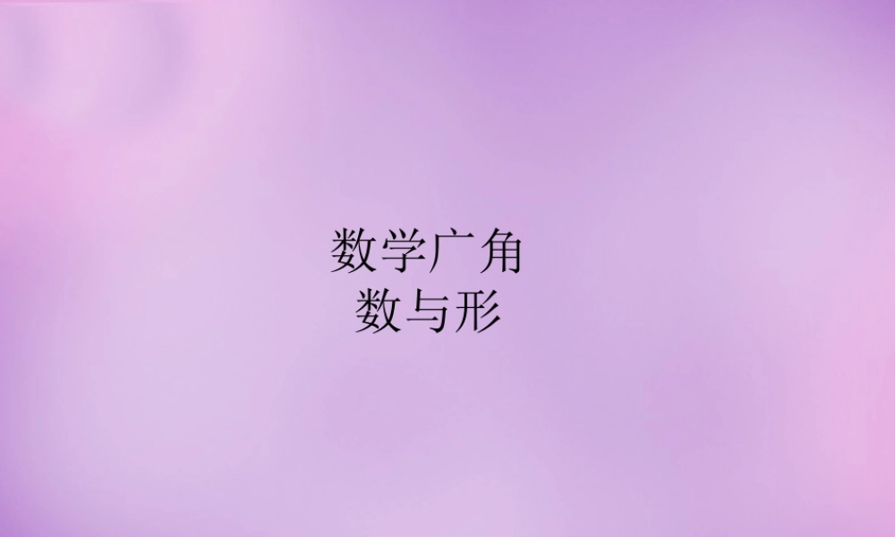 课件数与广角