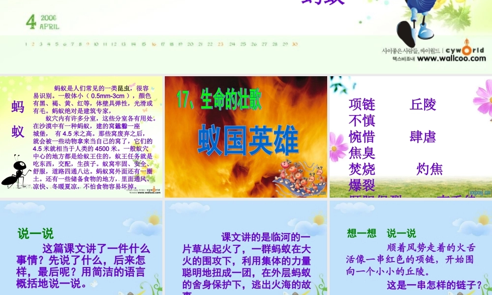 蚁国英雄(修改)