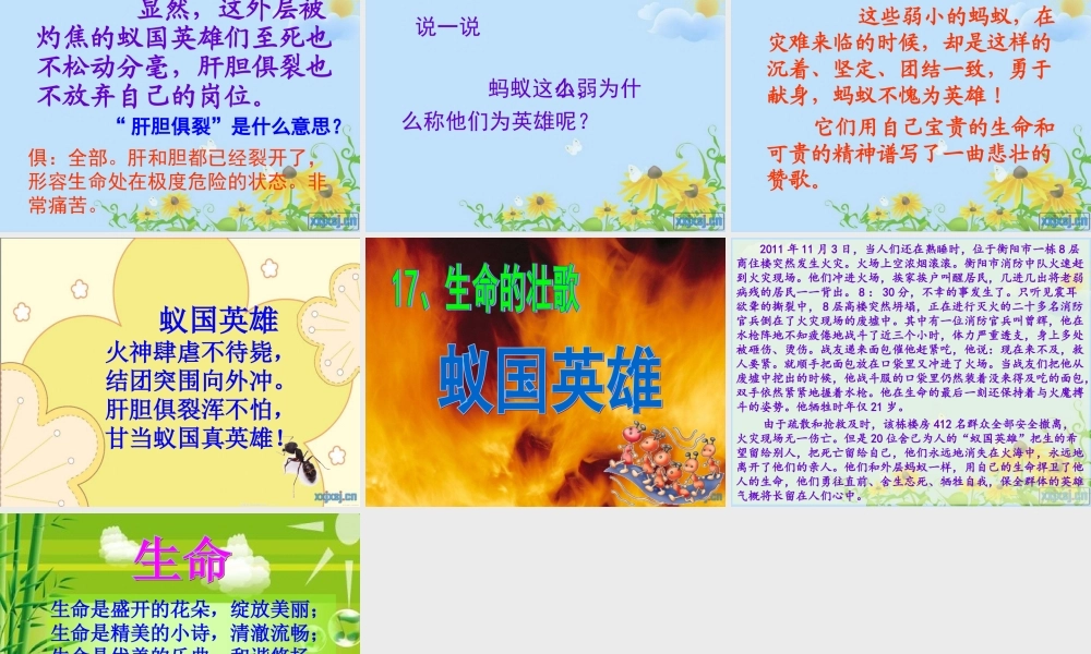 蚁国英雄(修改)