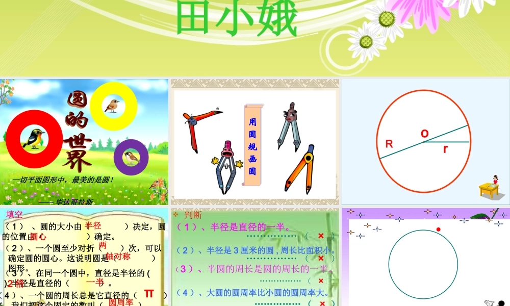 北师大版六年级下册数学圆的整理复习