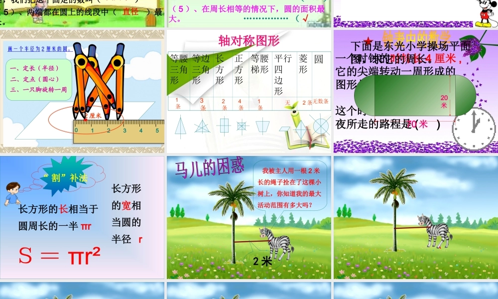 北师大版六年级下册数学圆的整理复习