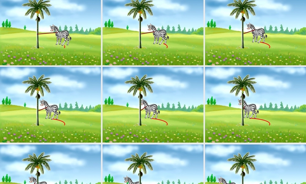 北师大版六年级下册数学圆的整理复习