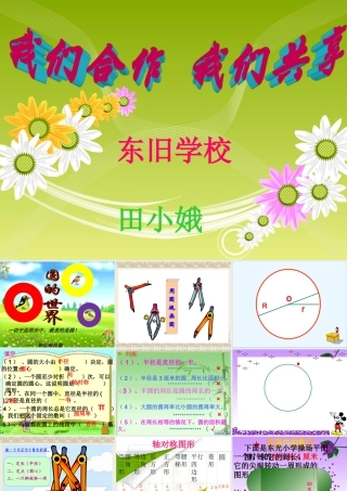 北师大版六年级下册数学圆的整理复习