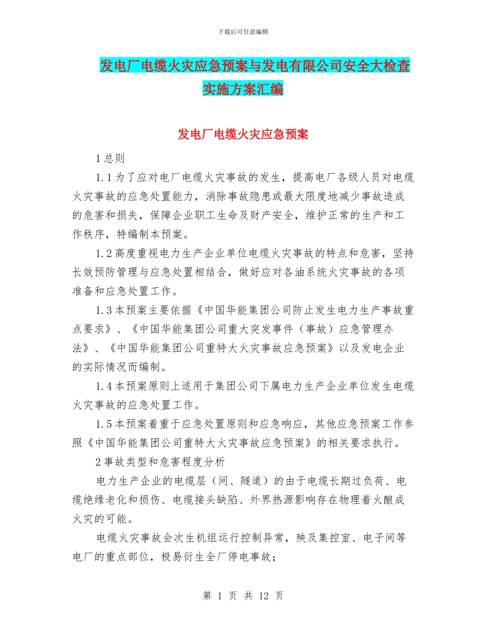 发电厂电缆火灾应急预案与发电有限公司安全大检查实施方案汇编_第1页