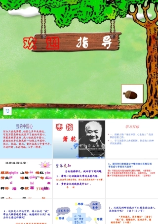 枣核（公开课）1