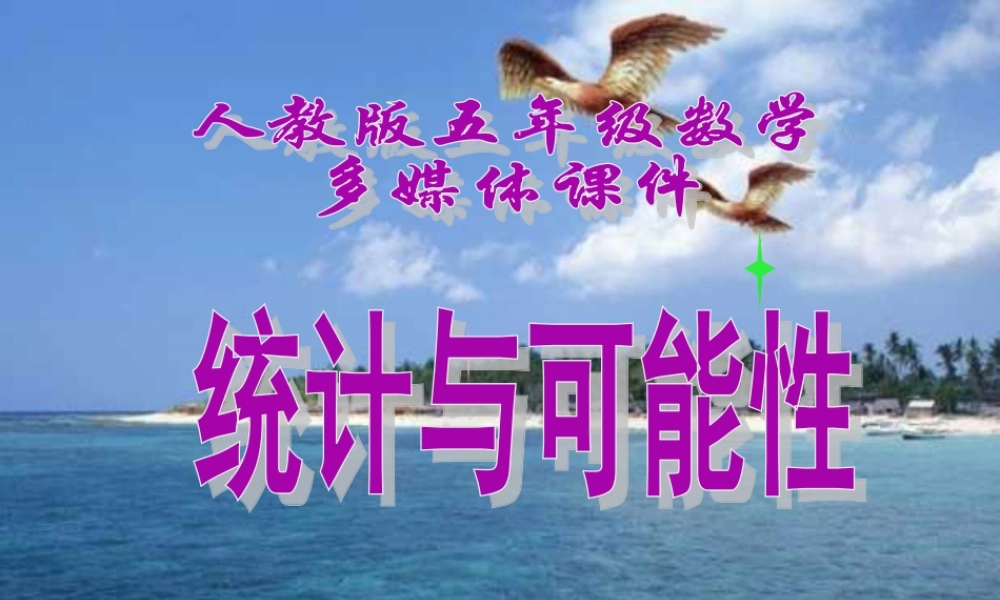 五年级统计与可能性