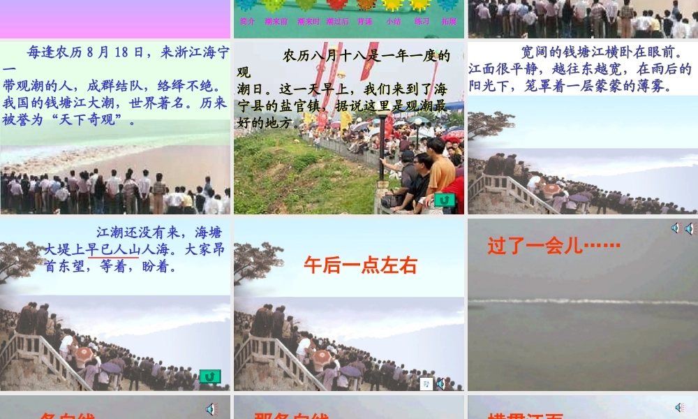 四年级《观潮》课件1