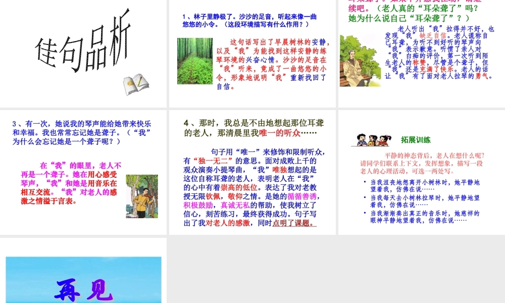 唯一的听众PPT课件 (2)