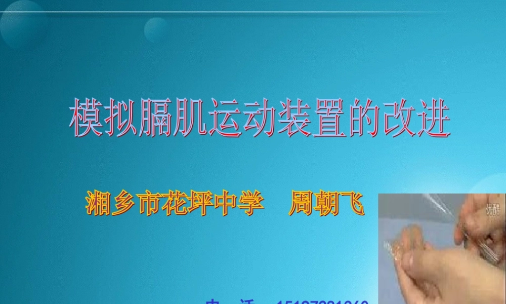 模拟膈肌运动实验装置改进