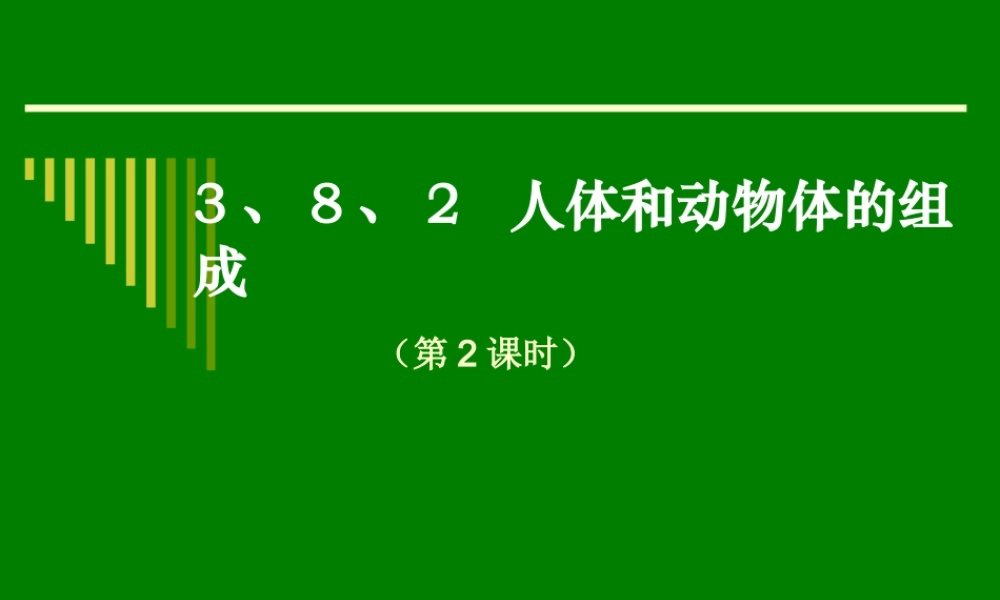 人体和动物体的组成