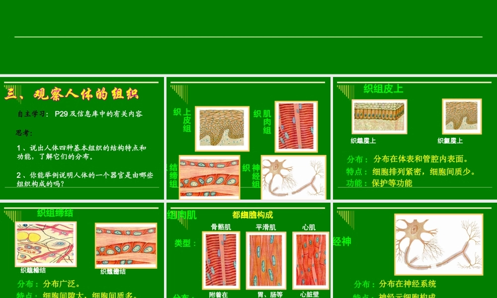 人体和动物体的组成