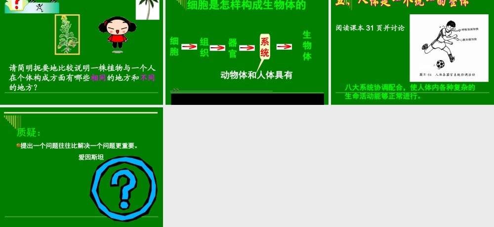 人体和动物体的组成