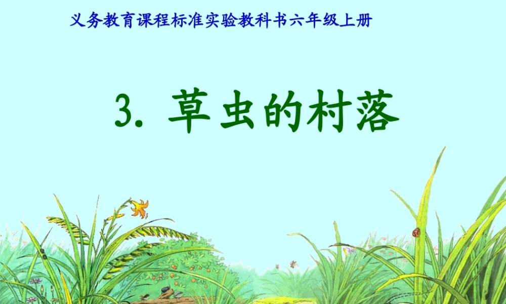 《草虫的村落》课件1