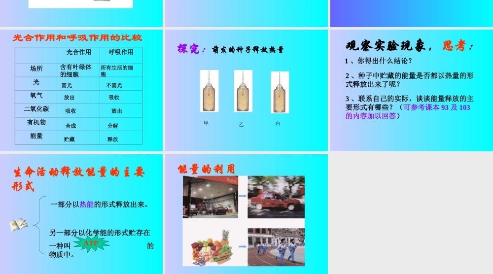 能量的释放和利用 (2)