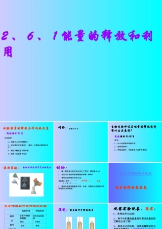 能量的释放和利用 (2)