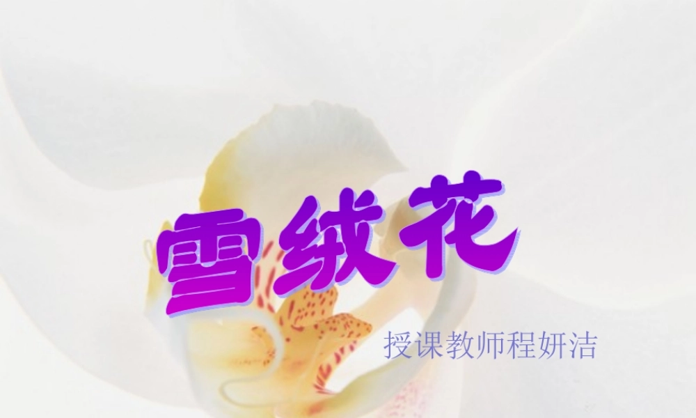 《雪绒花》程妍洁课件