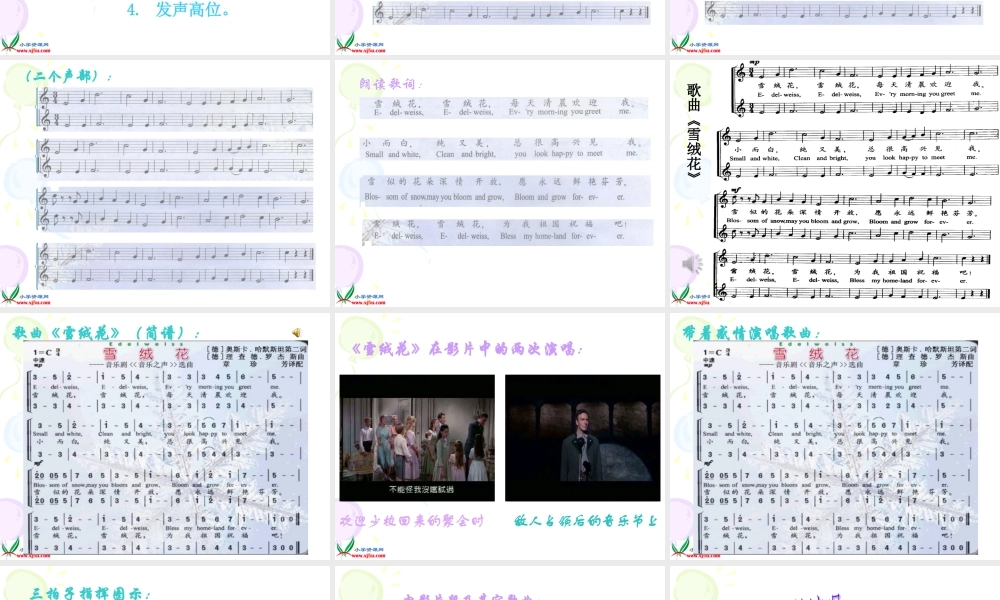 《雪绒花》程妍洁课件