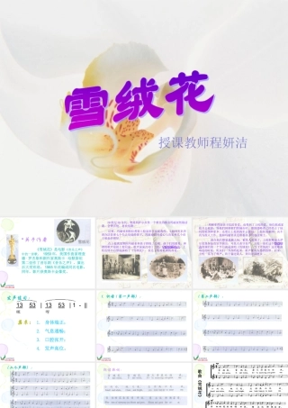 《雪绒花》程妍洁课件