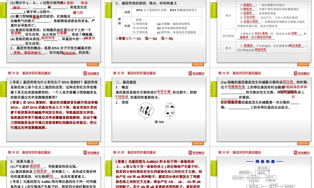 第7单元-生物的变异、育种与进化-生物-新课标