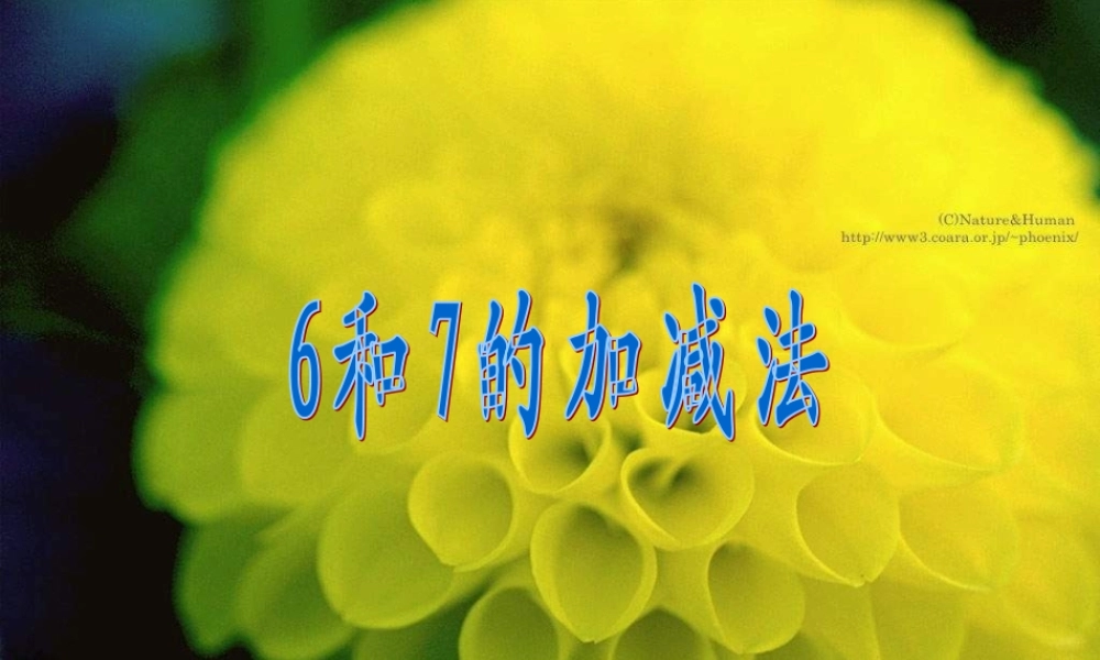 和的加减法课件