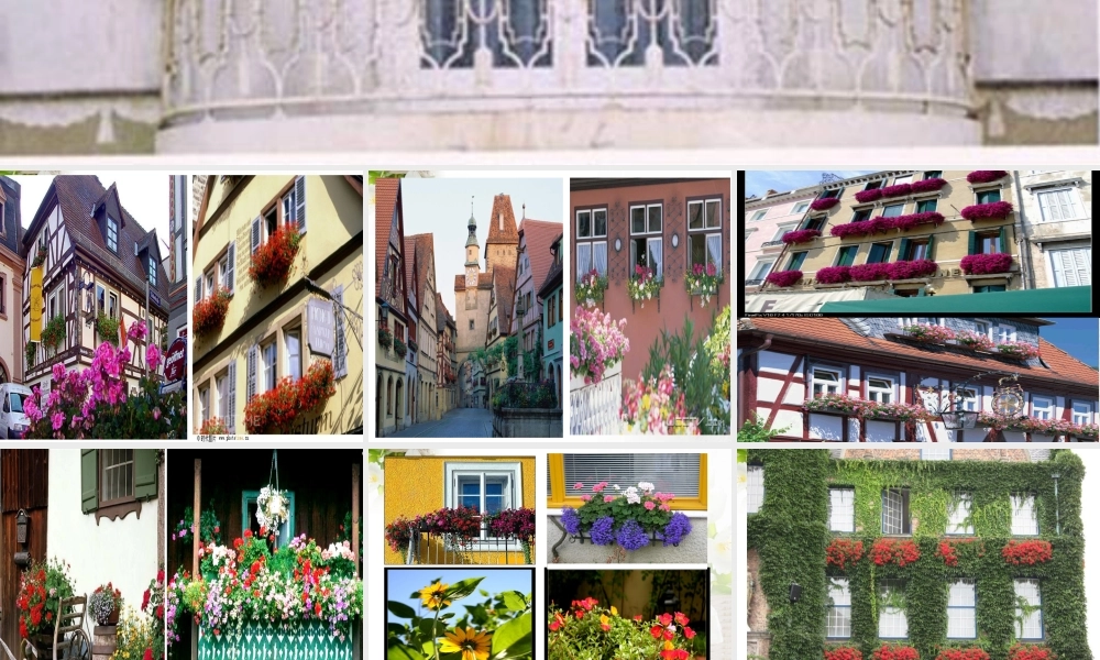 第25课《自己的花是让别人看的》课件2