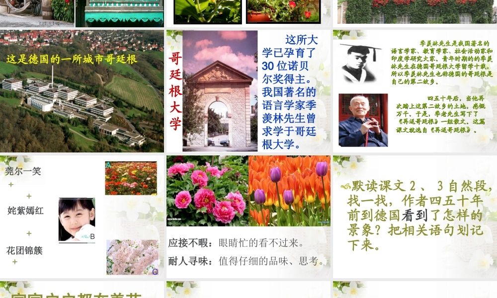 第25课《自己的花是让别人看的》课件2