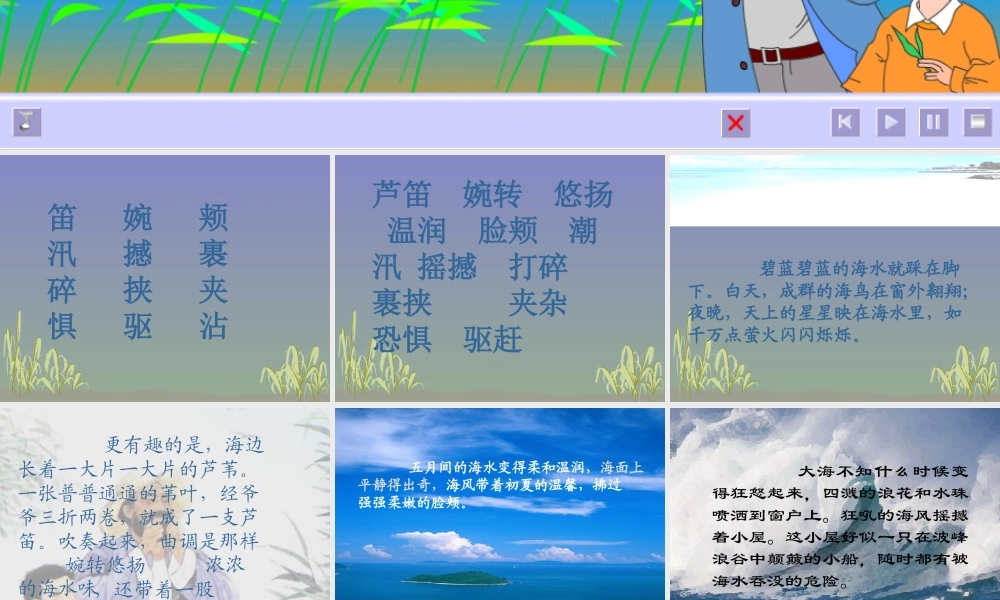 《爷爷的芦笛》课件
