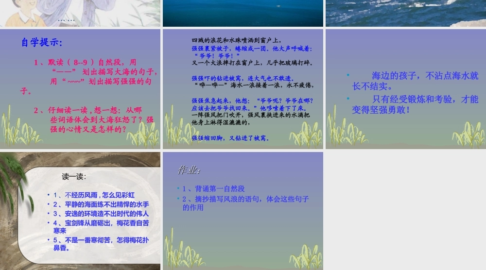《爷爷的芦笛》课件