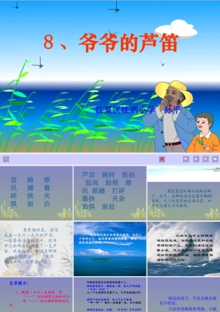 《爷爷的芦笛》课件