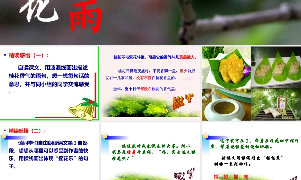 四年级《桂花雨》