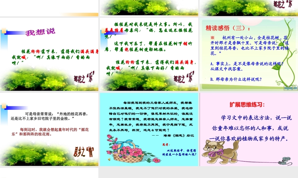 四年级《桂花雨》