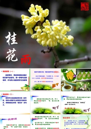 四年级《桂花雨》