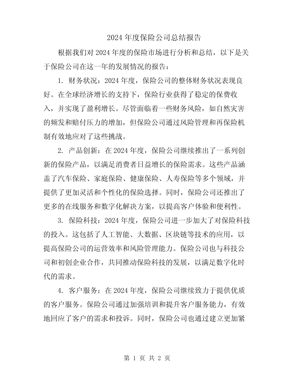 2024年度保险公司总结报告_第1页