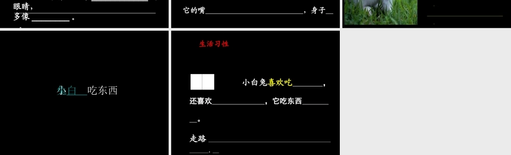 二年级（观察与表达）可爱的小动物(指导观察)