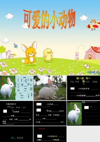 二年级（观察与表达）可爱的小动物(指导观察)
