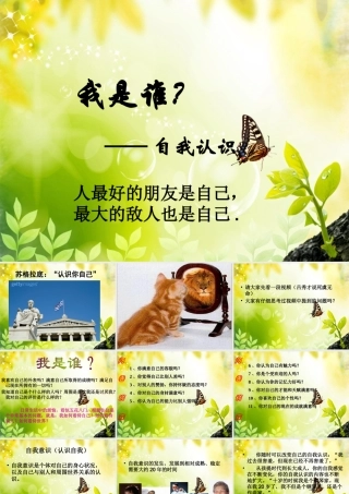 大学生心理健康教育_认识自我