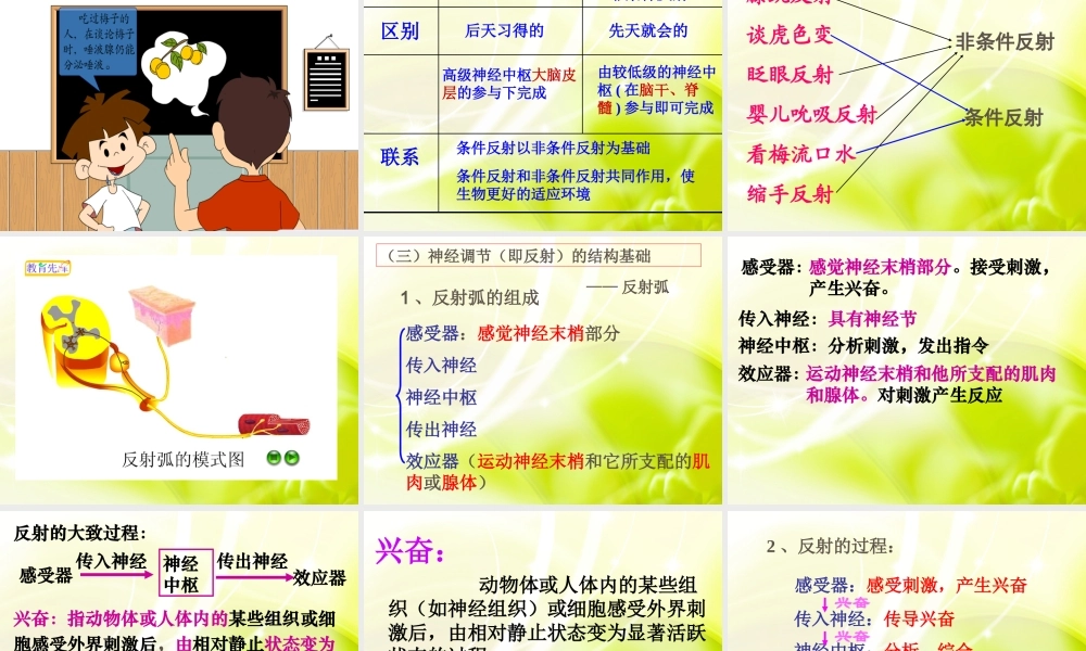 《通过神经系统的调节》