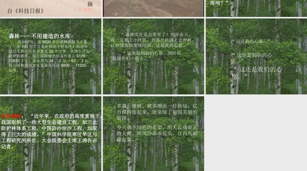 云雀的心愿最新修改版