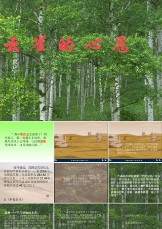 云雀的心愿最新修改版