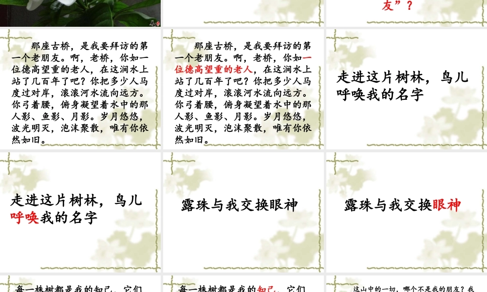 六上《山中访友》