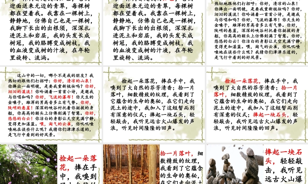 六上《山中访友》