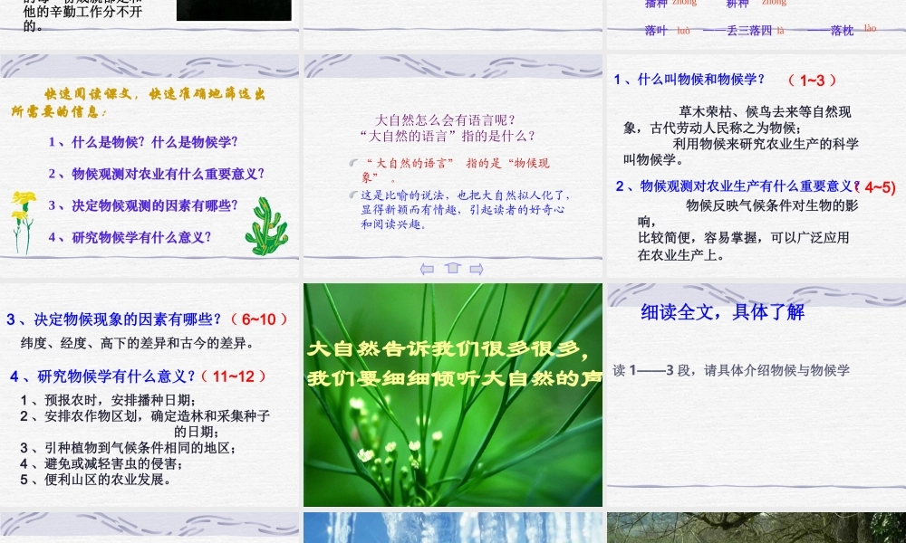 八年级语文_大自然的语言