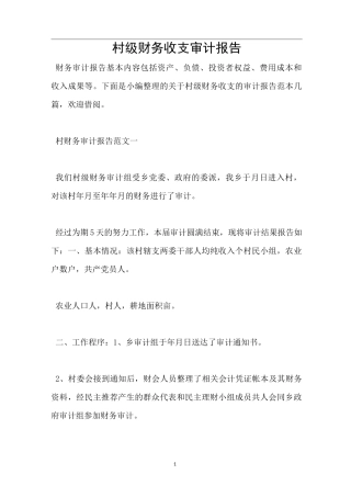 村级财务收支审计报告