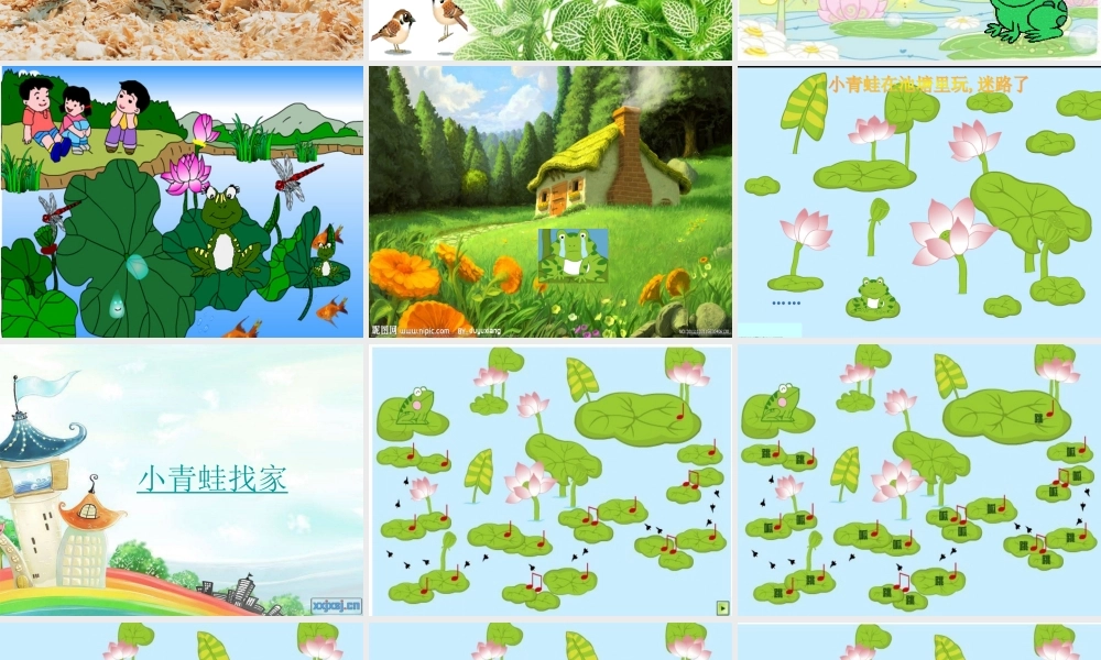 小青蛙找家_(3)