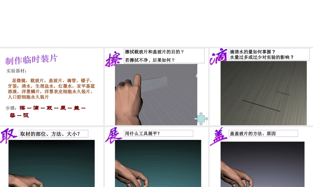 临时装片的制作(实验)