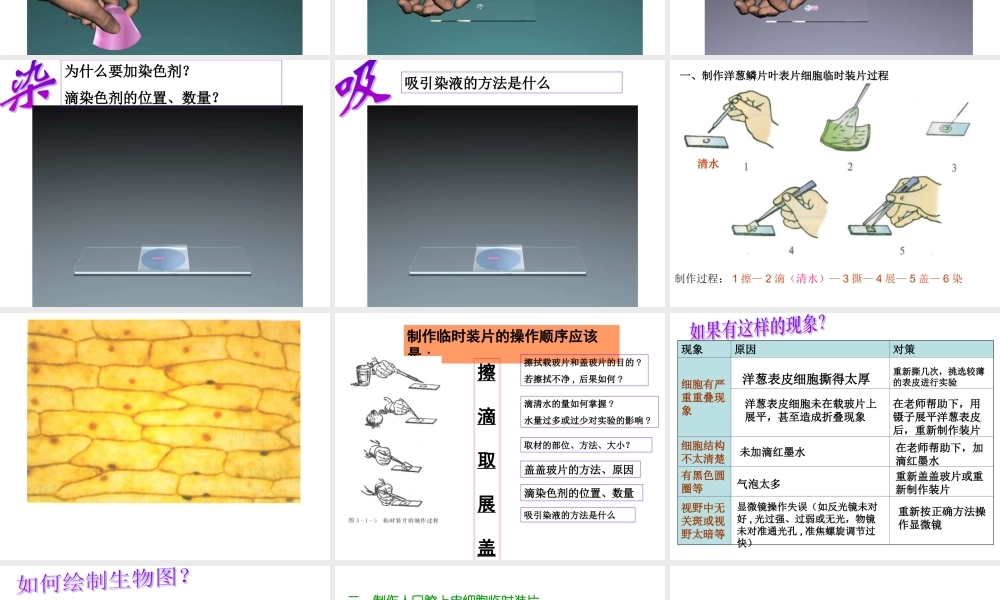 临时装片的制作(实验)