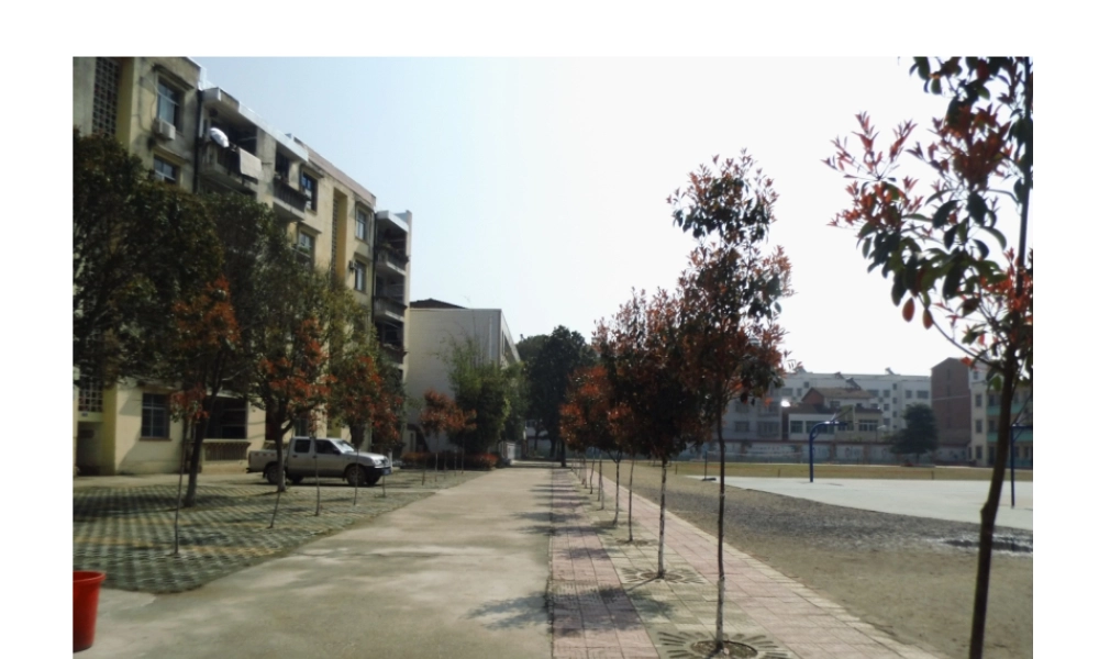 《美丽的小路》课件PPT