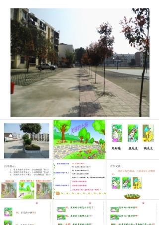 《美丽的小路》课件PPT
